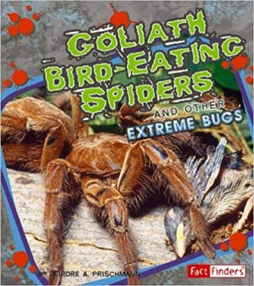 goliath bird eating spiders